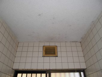 浴室モルタル天井面～広島県福山市幕山台